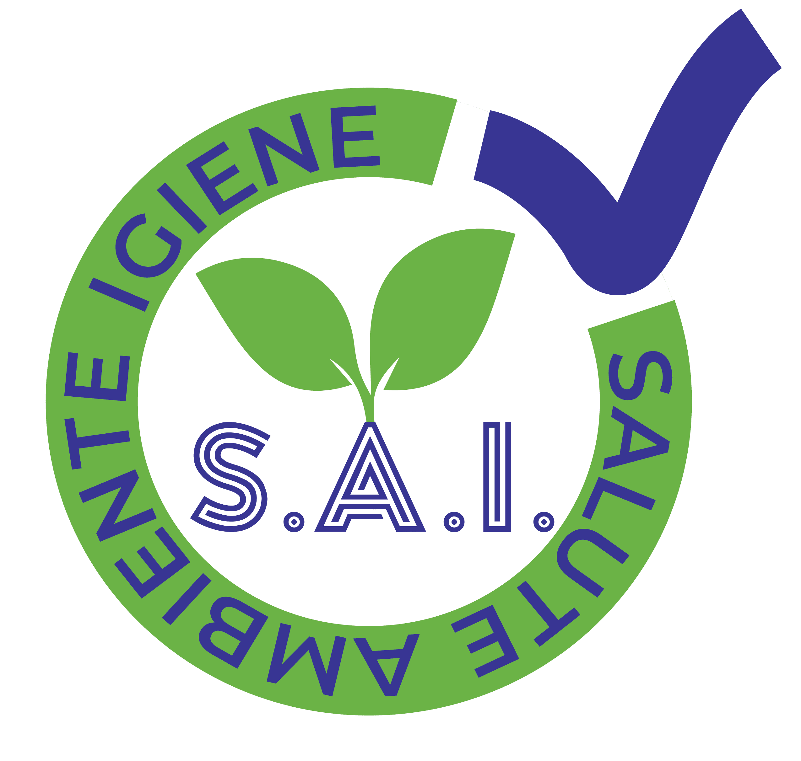 S.A.I. Logo